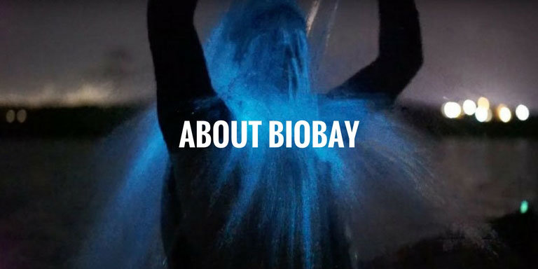 BIOBAY768X384text